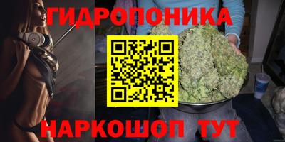 мяу мяу кристалл Тверь