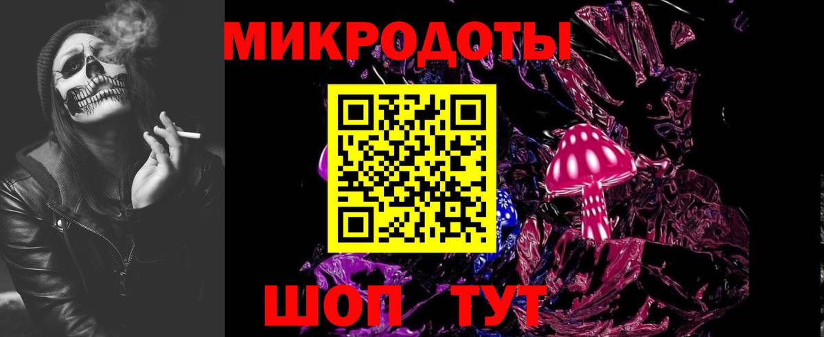 Галлюциногенные грибы Cubensis Мурманск